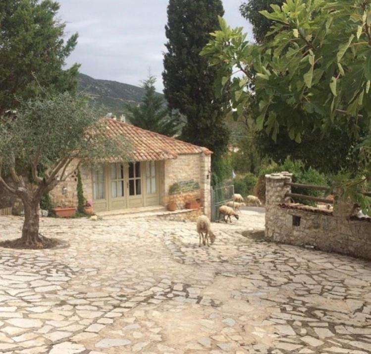 Elaion Guesthouse Ellinikón Buitenkant foto